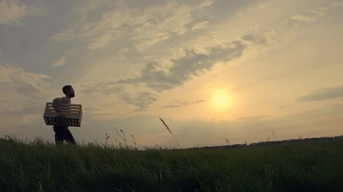 Silhouette of a farmer with a box Видео 90774722