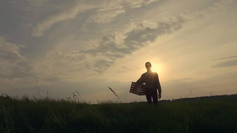 Silhouette of a farmer with a box Видео 90834554
