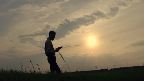 Silhouette of a farmer on a field with a tablet Stock Footage 90774719
