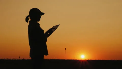 Silhouette of a farmer working with a tablet in a field at sunset Stock Footage 130779486