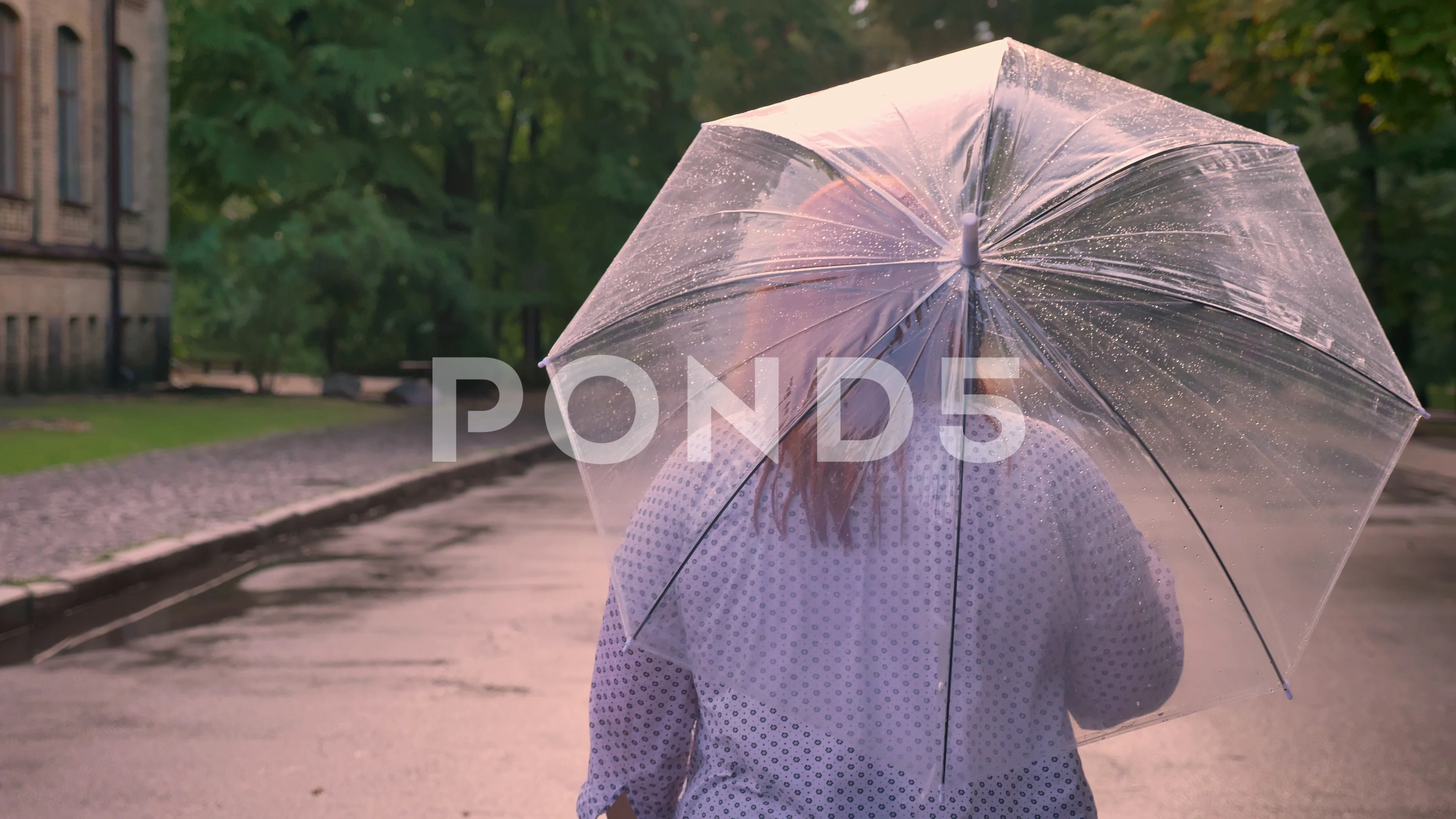 Silhouette of fat ginger girl is walking down road in park under rain,  holding