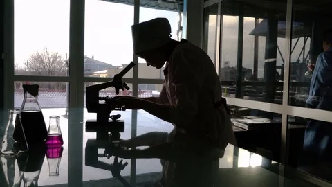 Silhouette of a female assistant looking through a microscope against light from Video stock 74367891