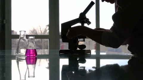 Silhouette of a female assistant looking through a microscope against light from Video stock 74368068