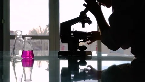 Silhouette of a female assistant looking through a microscope against light from Stock Footage