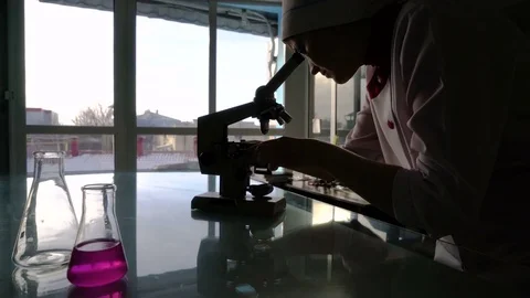 Silhouette of a female assistant looking through a microscope against light from Video stock 74368144