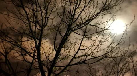 Silhouette Fields Stock Footage 10922831