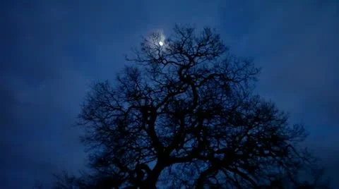 Silhouette Fields Stock Footage 10923115