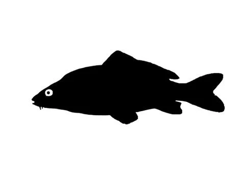 Silhouette of the fish Carp Stock Illustration