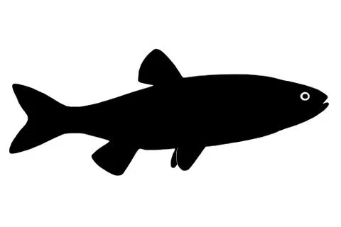 Silhouette of the fish chub Stock Illustration