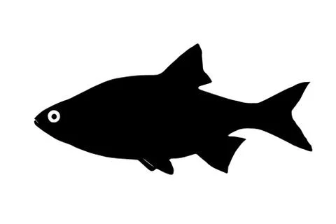 Silhouette of the fish ide (orfe) Stock Illustration