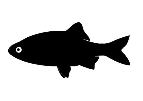 Silhouette fish redstart Stock Illustration