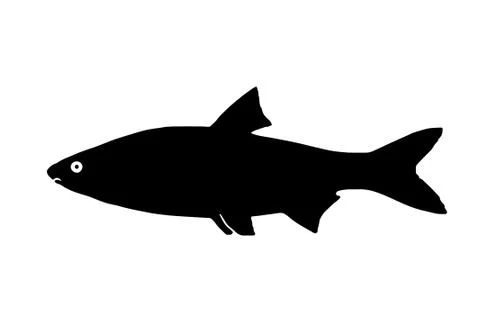 Silhouette of the fish sneep Stock Illustration