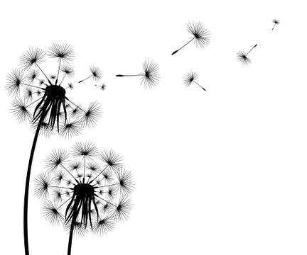 Silhouette of a flowering dandelion Stock Illustration