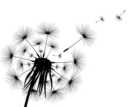 Silhouette of a flowering dandelion Stock Illustration