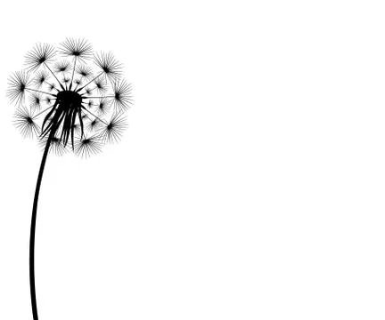 Silhouette of a flowering dandelion Stock Illustration