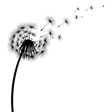 Silhouette of a flowering dandelion Stock Illustration
