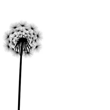 Silhouette of a flowering dandelion Stock Illustration