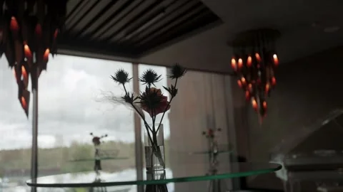 Silhouette of flowers in the background  Stock Footage 308447577