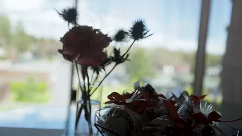Silhouette of flowers in the background Stock Footage 308447578