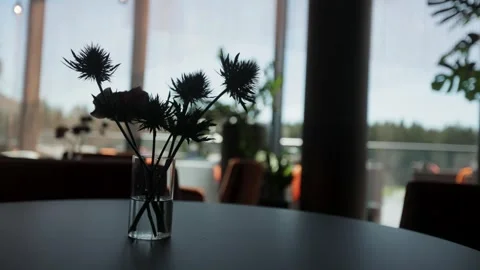 Silhouette of flowers in the background  Stock Footage 308447583