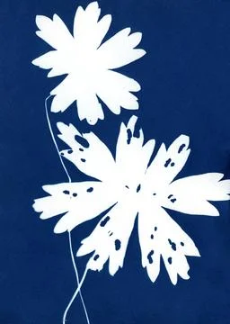 Silhouette of flowers. Stock Illustration