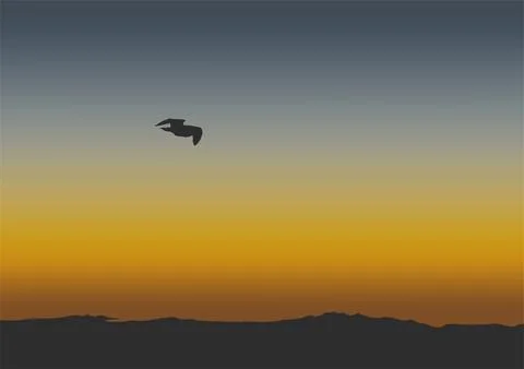 Silhouette of the flying bird in nature vector Stock Illustration