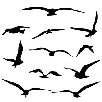 Silhouette of flying birds set. isolate on a white background. Vector illustr Stock Illustration