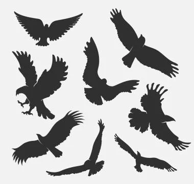 Silhouette flying eagle on white background Stock Illustration