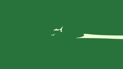 Silhouette Flying - Stock Video Element Stock Footage 338016159