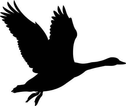 The silhouette of flying swan vector art Stock Illustration