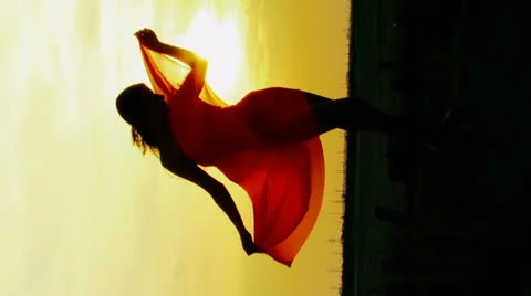 Silhouette Stock-Footage 22451418