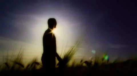 Silhouette Stock Footage 22454345