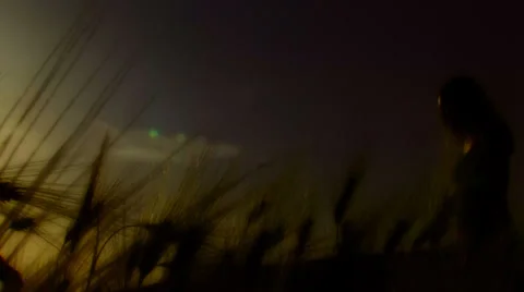 Silhouette Stock-Footage 22454439