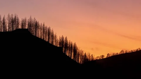 Silhouette of forest at sunset at the mountains of Tamadaba in Gran Canaria Stock Footage 150838136