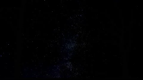 Silhouette of Forest Trees Branches over Lake Vídeo Stock 239717486