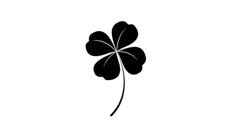 Silhouette of four leaf clover isolated on white background. Stock Footage 337446071