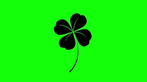 Silhouette of four leaf clover isolated on green screen background. Stock Footage 337446072