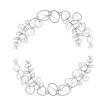 Silhouette frame with eucalyptus branches. Line art style with transparent Stock Illustration