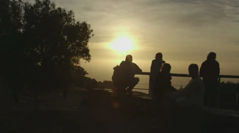 Silhouette of friends Stock Footage 27539895