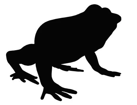 Silhouette with a frog Stock-Illustration