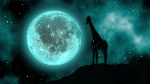 Silhouette of a giraffe under the full moonlight Stock Footage 157312144