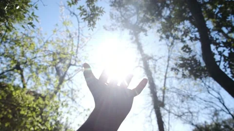 Silhouette of a girl pulls her hand to the sun. Religion helping hand. Stock Footage 238399817