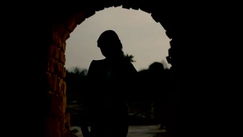 Silhouette of a girl with a violin at sunset whose hair is blowing in the wind. Stock Footage 223705207