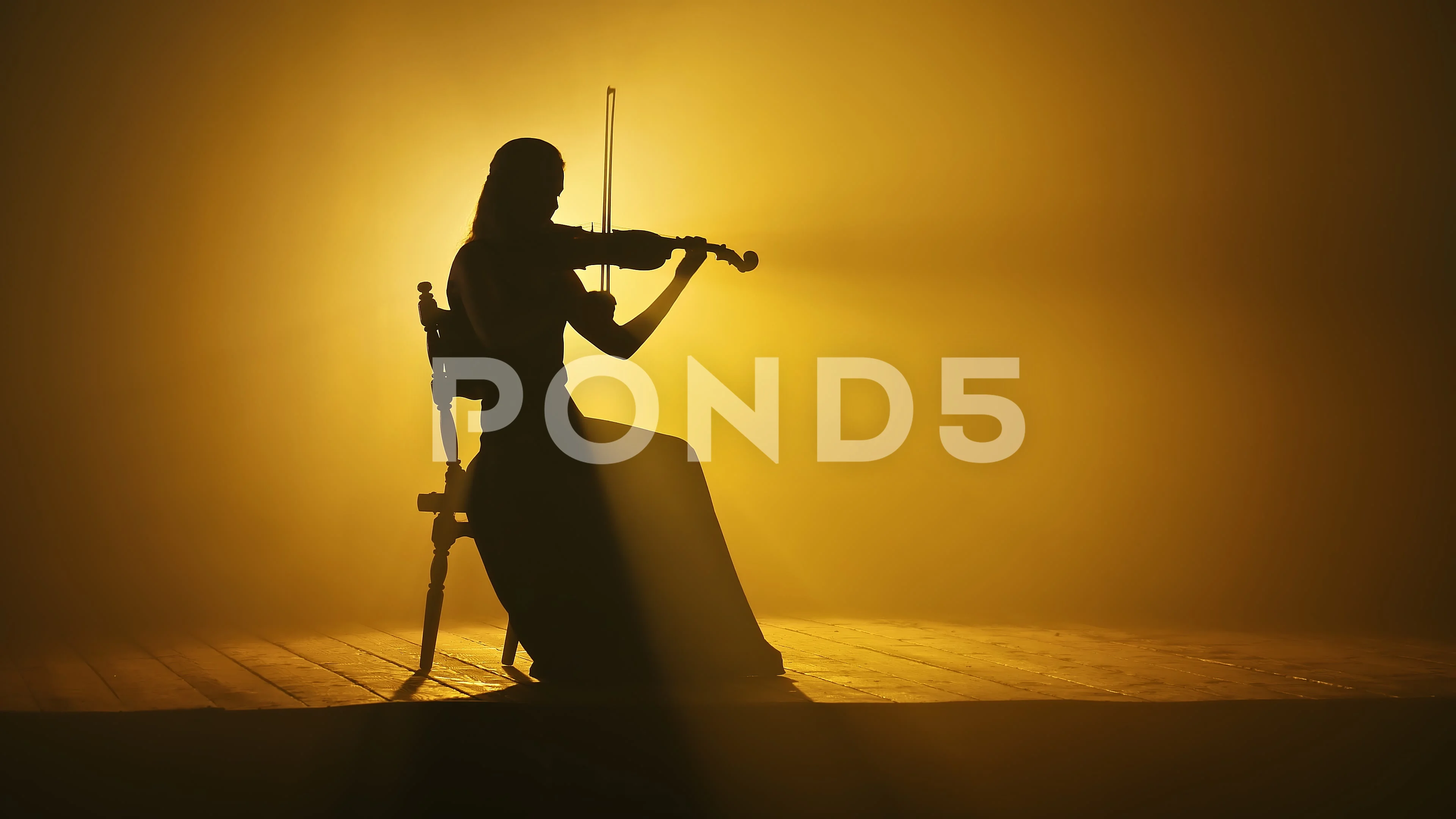 female violinist silhouette