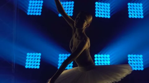 Silhouette graceful ballerina dancing elements of classical ballet in the dark Stock Footage 138219477
