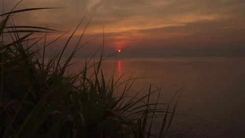 Silhouette grass against sunset scape at ocean. Vídeo Stock 151463428