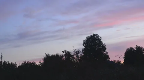 Silhouette of grass at sunset. Motorized dolly shot Stock Footage 30320133