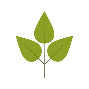 Silhouette green leaf with ramifications Stock Illustration