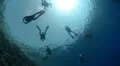 Silhouette group of divers at the ocean surface HD Footage