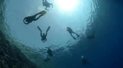 Silhouette group of divers at the ocean surface Stock Footage 8966256